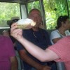 17 - Comendo cacau fresco